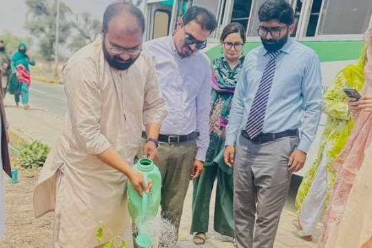 Tree Plantation Drive 2026